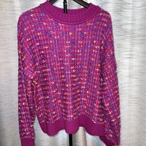 Women's Purple Multicolor Knit Sweater